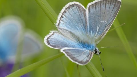 Неприємні сюрпризи: синоптики уточнили погоду на вихідні
