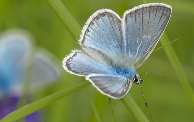 Неприятные сюрпризы: синоптики уточнили погоду на выходные