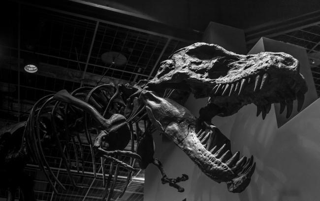 Ученые случайно нашли останки самого крупного динозавра Европы