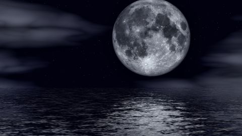 Вовча повня у січні 2022: чому вона особлива і що суворо заборонено