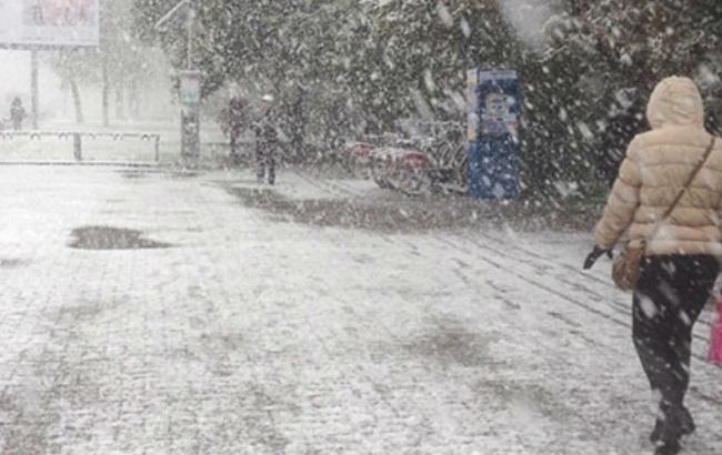 В Москве выпал первый снег. Видео