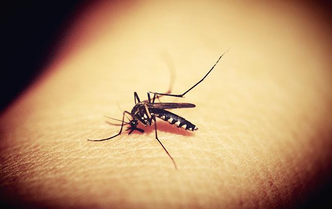 В Харькове зафиксирован случай заболевания малярией