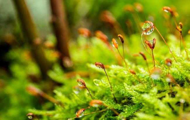 27 квітня: свята і важливі події на цей день