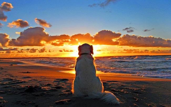 Гороскоп на сегодня, 7 марта