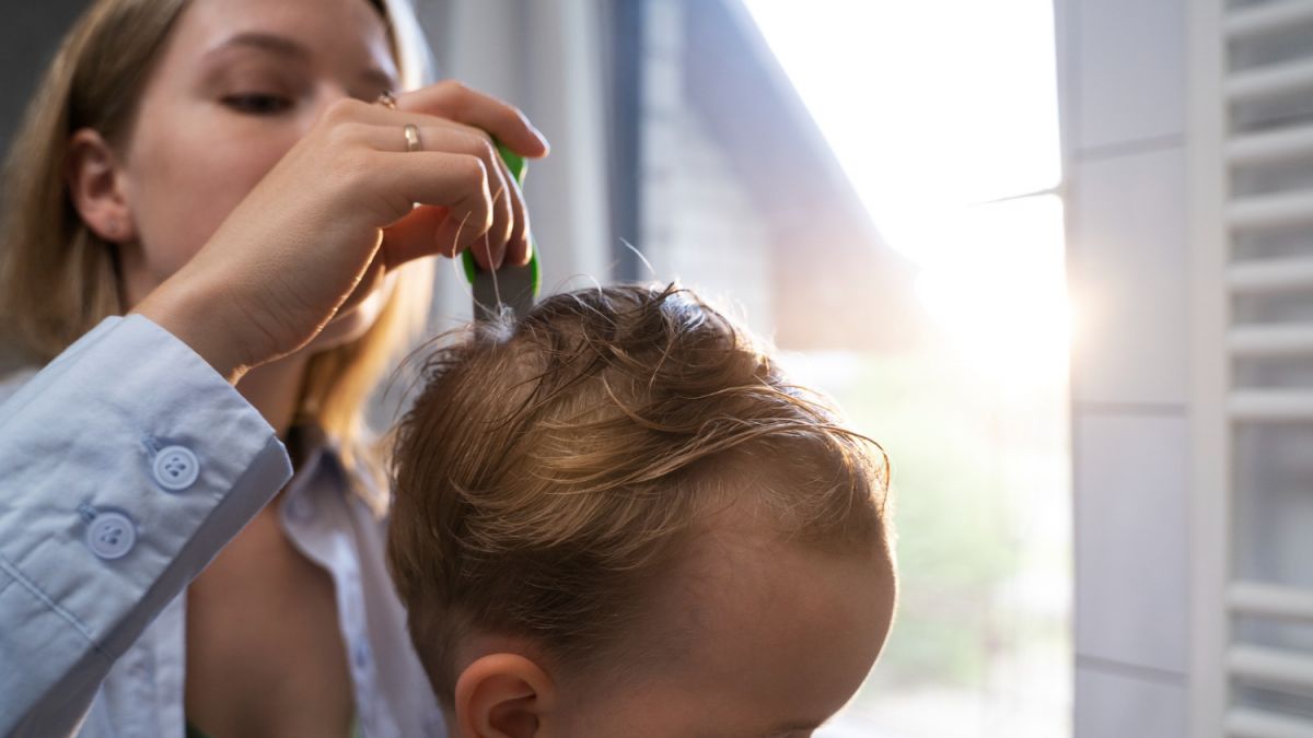 Подходящий тип шампуня для конкретного типа волос