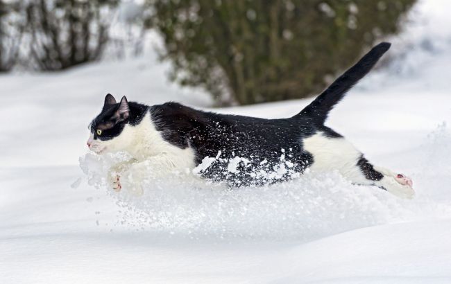 Погода на сегодня: в Украине преимущественно без осадков, температура до +5