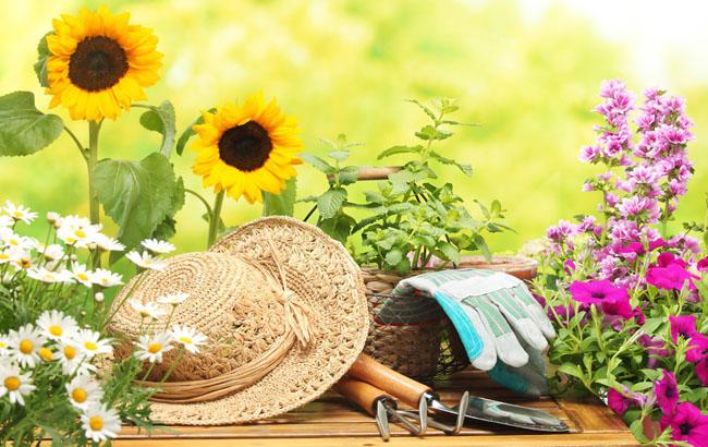 Мотыга вместо шезлонга: украинцы уже не мечтают о зарубежных курортах