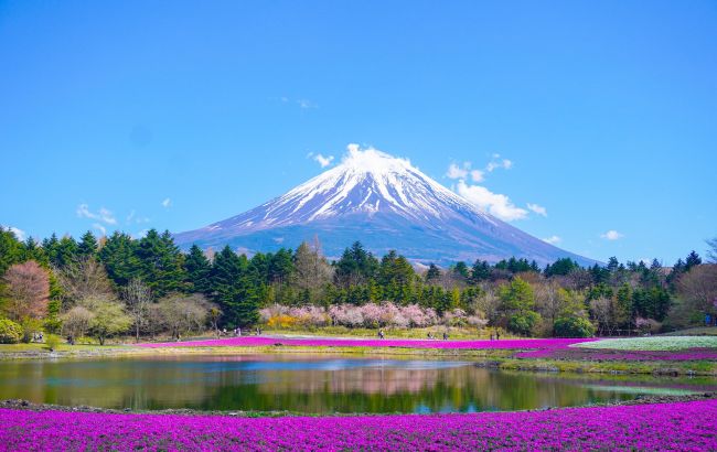 В Японии вводят плату за посещение знаменитой локации: причины