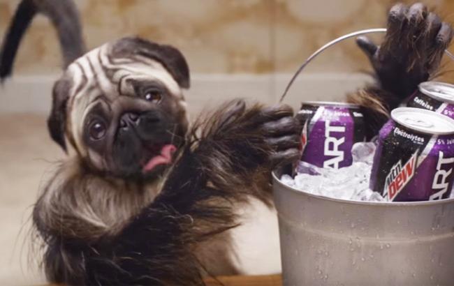 В Киеве покажут самую дорогую рекламу 2016 года