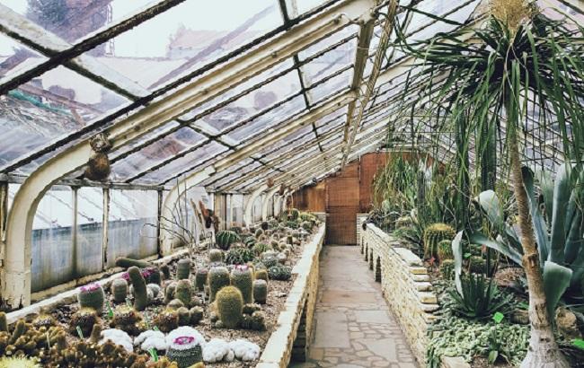 В NASA создали теплицу для астронавтов, которые будут жить на Марсе