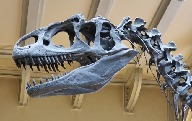 Виявлений слід динозавра, якому 220 мільйонів років