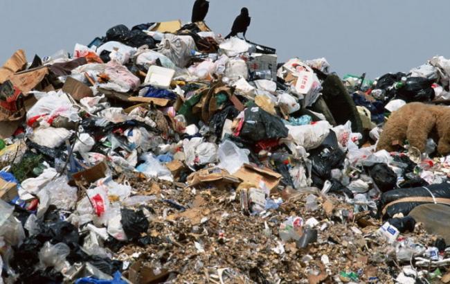 На Прикарпатье целое село страдает от собирателя хлама