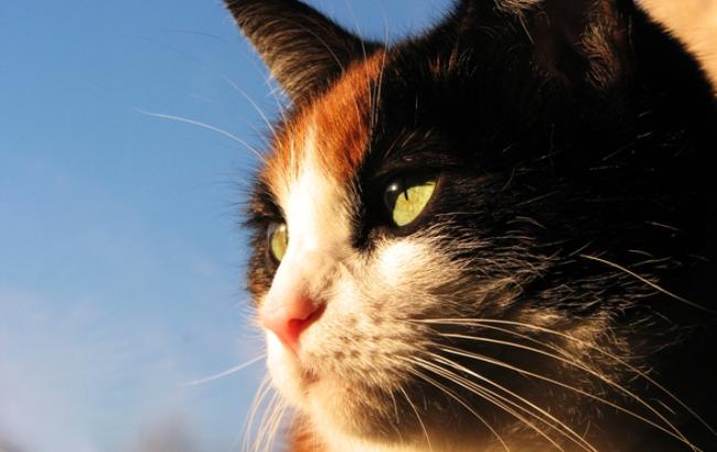 Синоптик пообещала возвращение весны