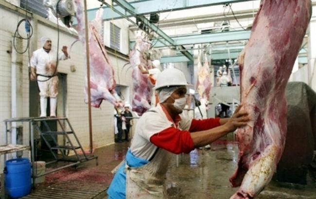 Рынок Ирана имеет хороший потенциал для украинского мяса, - УКАБ