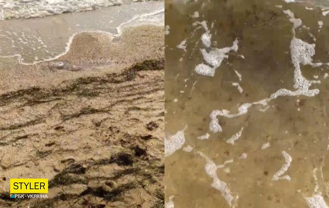 Трупы медуз и "зеленый" пляж: туристы показали отдых в Счастливцево (видео)