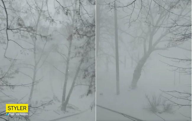 В Чернигове во время снегопада гремела гроза: видео редкого явления