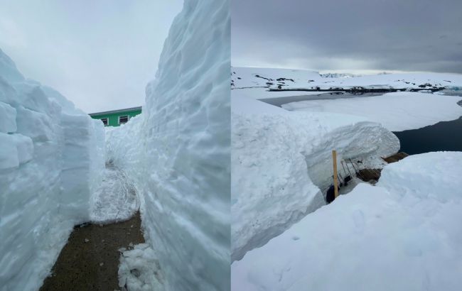Українські полярники показали величезний рів, який викопали у снігу: захоплюючі фото