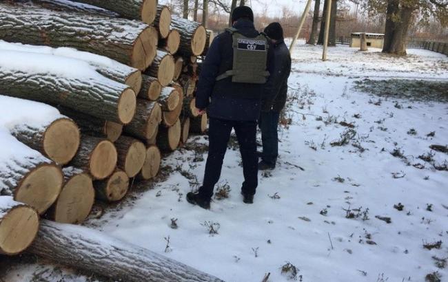 В Одеській області СБУ блокувала розкрадання деревини на 1,5 млн гривень