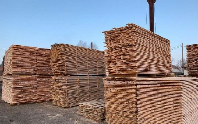 СБУ викрила мільйонну схему розкрадання лісоматеріалів