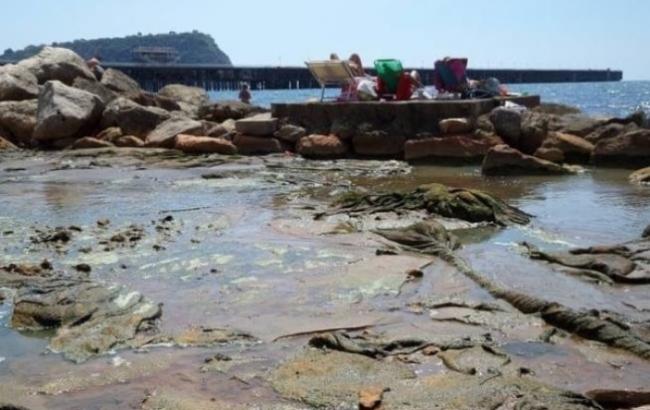 Грязный Крым: пляжи Севастополя залило нечистотами