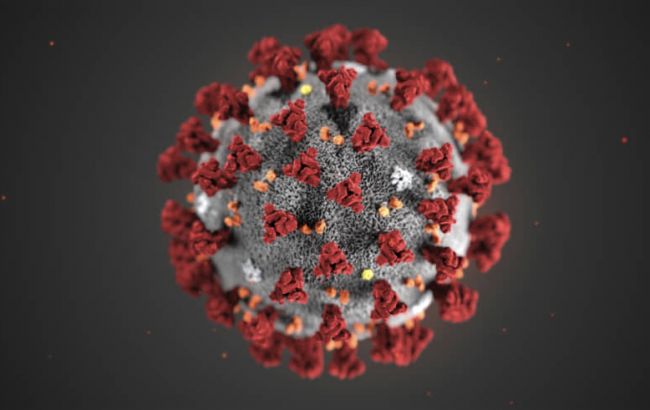 Японські вчені змогли ізолювати коронавірус для розробки вакцини