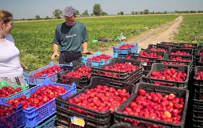 800 млн людей живуть на грошовi перекази родичів, що працюють за кордоном, - ООН