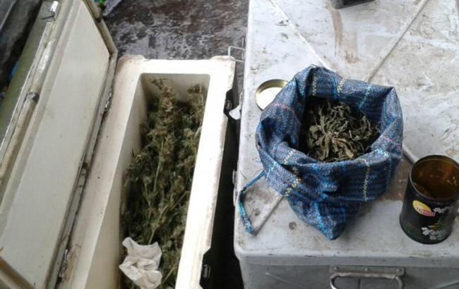 У Запорізькій області у місцевого жителя знайшли 2 кг марихуани