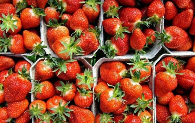 Боротьба з продуктами: росіяни знищать 12 тонн української полуниці