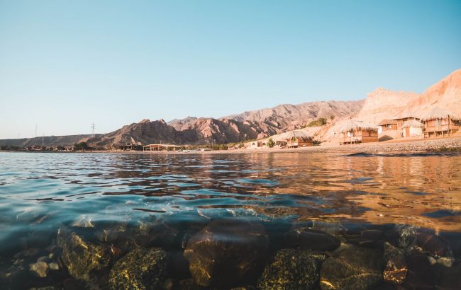 Египет закрывает пляжи Красного моря после нападения акул на туристов