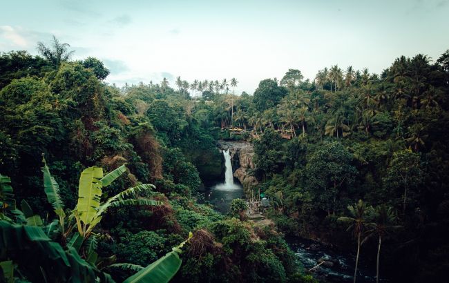 Археологи раскопали потерянный 2500-летний мегаполис в джунглях Амазонки (фото)