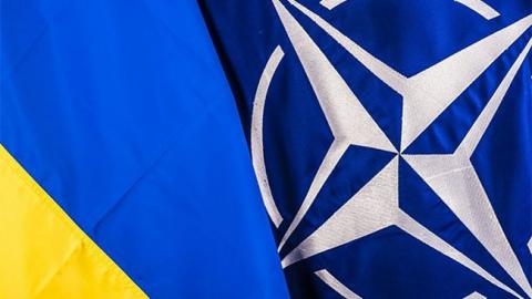 НАТО не буде припиняти підтримку України