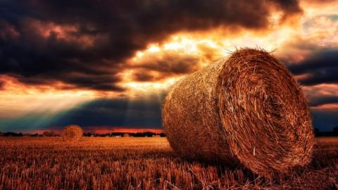 Облачно, но тепло: синоптики уточнили прогноз погоды на 13 июля