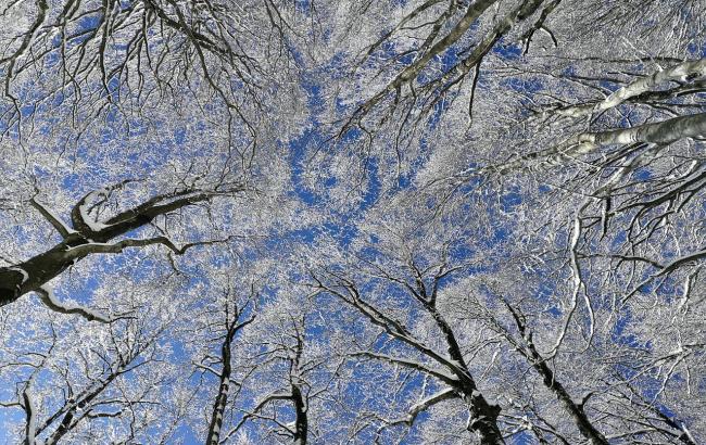 "Перший весняний прогноз": синоптик розповіла українцям про погоду на 1 березня