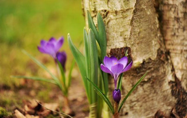 Свято 26 березня: що сьогодні не можна робити, важливі традиції, у кого день ангела