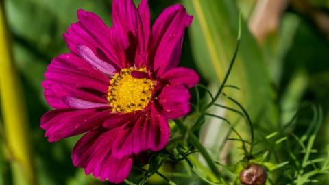 Заморозки и +42: синоптики дали прогноз погоды на август в Украине