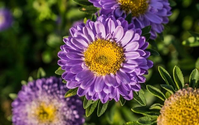 2 мая: праздники и важные события на этот день