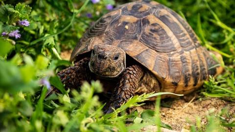 23 травня: свята і важливі події на цей день