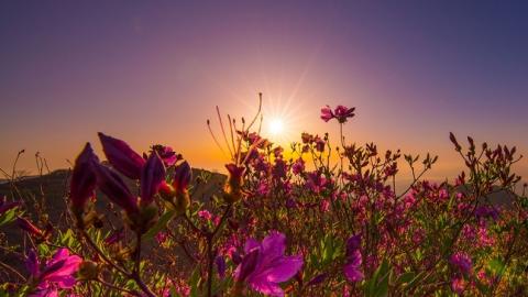 14 июля: праздники и важные события на этот день