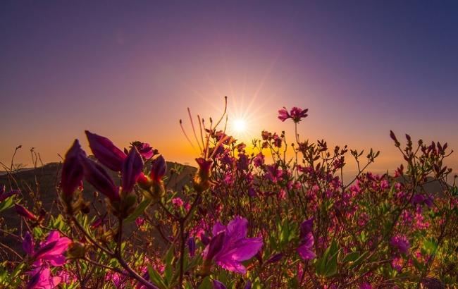 14 липня: свята і важливі події на цей день