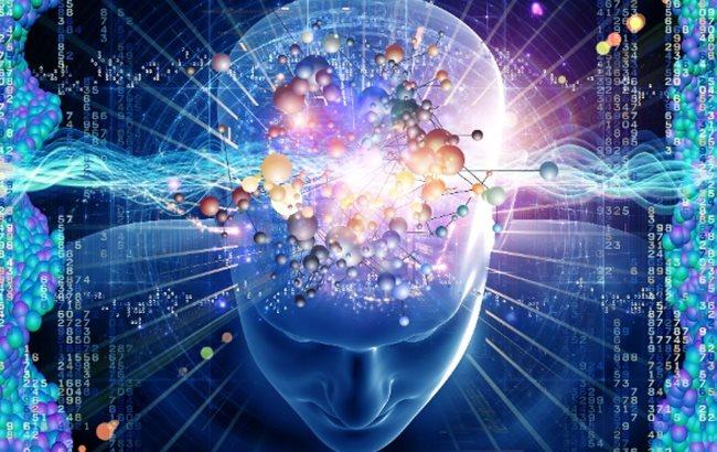 Ученые выяснили, что успешные люди отличаются особым устройством мозга