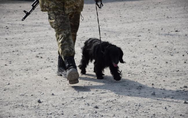 КПВВ на Донбасі за добу перетнули майже 42 тис. осіб