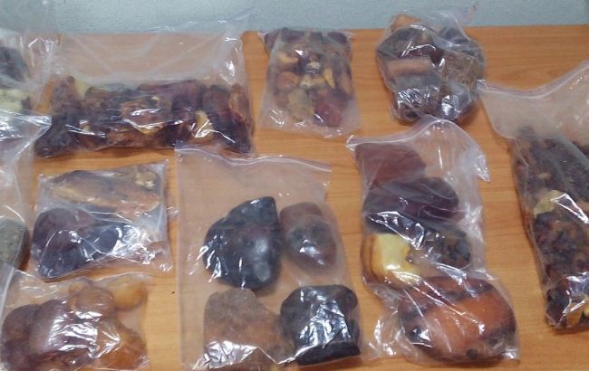 На границе с Беларусью правоохранители обнаружили 7 кг янтаря