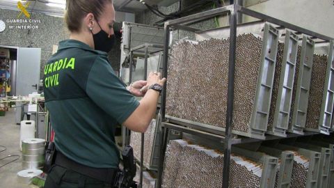 Украинские пограничники помогли разоблачить табачную мафию на Пиринеях