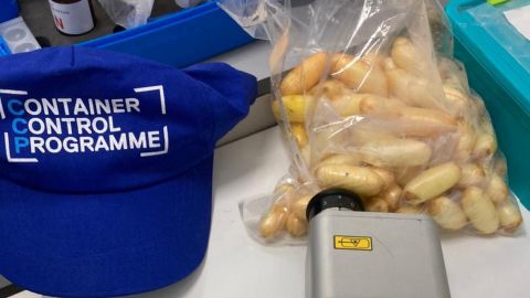 Кілограм кокаїну в шлунку. Ще одного бразильського кур'єра судитимуть в Україні