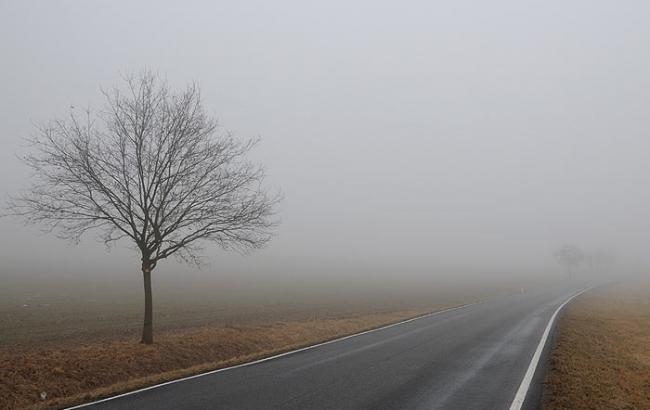 Синоптики попереджають водіїв про туман на автошляхах України 3 жовтня