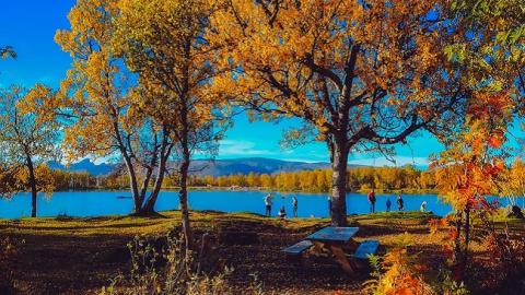 Выходные в ноябре: сколько будут отдыхать украинцы