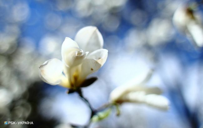 В Україні сьогодні очікується тепла погода