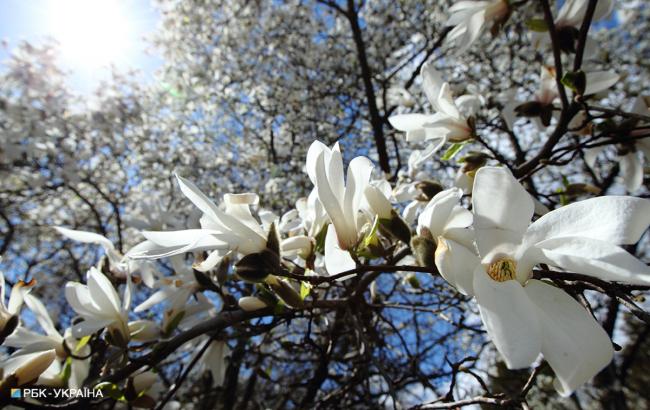 Спека з грозами: синоптики уточнили прогноз на п'ятницю