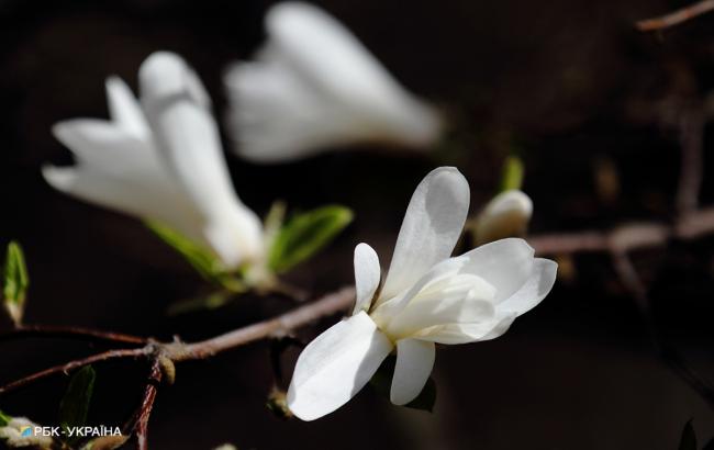 Погода на сегодня: на западе Украины дожди, температура до +24