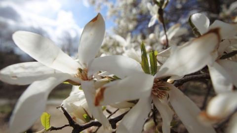 Синоптики обещают потепление до +28